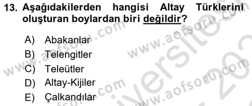 Çağdaş Türk Dünyası Dersi 2020 - 2021 Yılı Yaz Okulu Sınav Soruları 13. Soru
