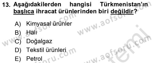 Çağdaş Türk Dünyası Dersi 2021 - 2022 Yılı (Final) Dönem Sonu Sınavı 13. Soru