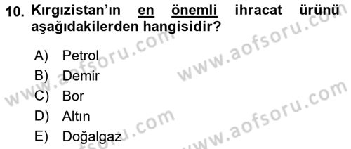 Çağdaş Türk Dünyası Dersi 2023 - 2024 Yılı (Final) Dönem Sonu Sınavı 10. Soru