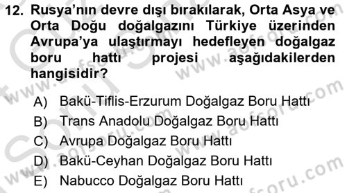 Çağdaş Türk Dünyası Dersi 2023 - 2024 Yılı (Final) Dönem Sonu Sınavı 12. Soru