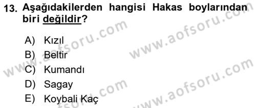Çağdaş Türk Dünyası Dersi 2023 - 2024 Yılı (Final) Dönem Sonu Sınavı 13. Soru