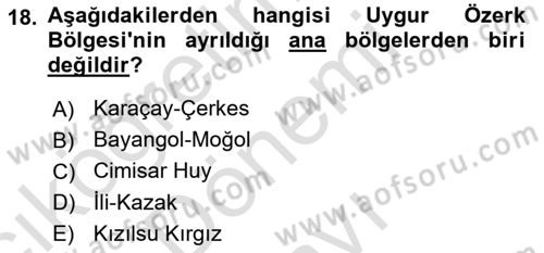 Çağdaş Türk Dünyası Dersi 2023 - 2024 Yılı (Final) Dönem Sonu Sınavı 18. Soru