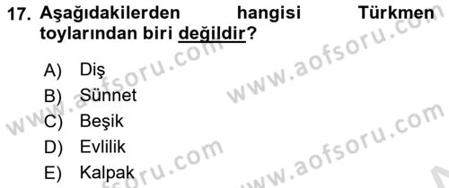 Çağdaş Türk Dünyası Dersi 2023 - 2024 Yılı Yaz Okulu Sınav Soruları 17. Soru
