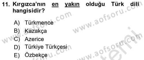 Çağdaş Türk Dünyası Dersi 2024 - 2025 Yılı (Final) Dönem Sonu Sınav Soruları 11. Soru