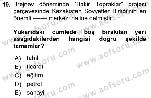Çağdaş Türk Dünyası Dersi 2025 - 2026 Yılı (Vize) Ara Sınav Soruları 19. Soru