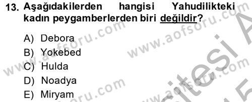Yaşayan Dünya Dinleri Dersi 2014 - 2015 Yılı (Final) Dönem Sonu Sınav Soruları 13. Soru