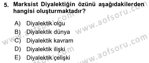 Tarih Felsefesi Dersi 2025 - 2026 Yılı (Final) Dönem Sonu Sınav Soruları 5. Soru