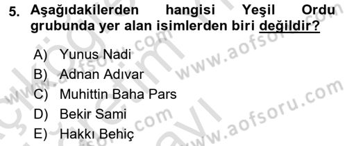 Milli Mücadele Tarihi Dersi 2023 - 2024 Yılı Yaz Okulu Sınav Soruları 5. Soru