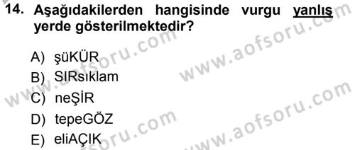 Türkçe Ses Bilgisi Dersi Ara Sınavı Deneme Sınav Soruları 14. Soru