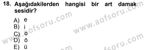 Türkçe Ses Bilgisi Dersi Ara Sınavı Deneme Sınav Soruları 18. Soru