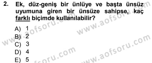 Türkçe Ses Bilgisi Dersi Ara Sınavı Deneme Sınav Soruları 2. Soru