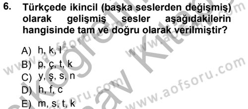 Türkçe Ses Bilgisi Dersi Ara Sınavı Deneme Sınav Soruları 6. Soru