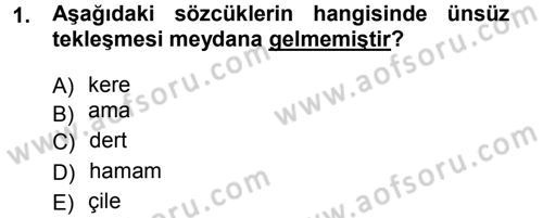 Türkçe Ses Bilgisi Dersi 2012 - 2013 Yılı (Final) Dönem Sonu Sınav Soruları 1. Soru