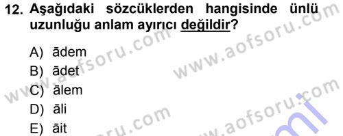 Türkçe Ses Bilgisi Dersi 2012 - 2013 Yılı (Final) Dönem Sonu Sınav Soruları 12. Soru