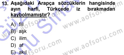 Türkçe Ses Bilgisi Dersi 2012 - 2013 Yılı (Final) Dönem Sonu Sınav Soruları 13. Soru