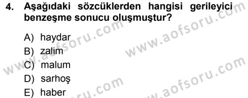 Türkçe Ses Bilgisi Dersi 2012 - 2013 Yılı (Final) Dönem Sonu Sınav Soruları 4. Soru
