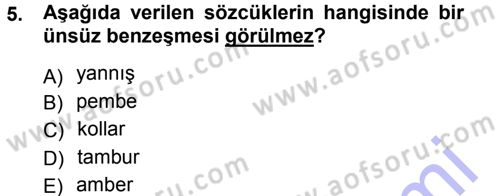 Türkçe Ses Bilgisi Dersi 2012 - 2013 Yılı (Final) Dönem Sonu Sınav Soruları 5. Soru