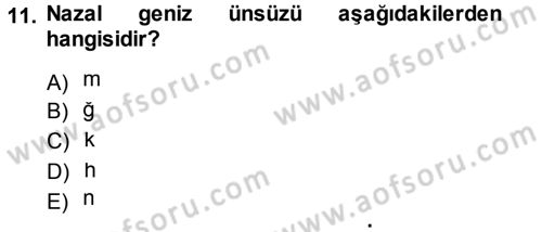 Türkçe Ses Bilgisi Dersi 2013 - 2014 Yılı (Vize) Ara Sınav Soruları 11. Soru