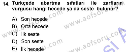 Türkçe Ses Bilgisi Dersi Ara Sınavı Deneme Sınav Soruları 14. Soru