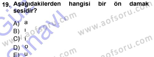 Türkçe Ses Bilgisi Dersi 2013 - 2014 Yılı (Vize) Ara Sınav Soruları 19. Soru