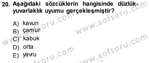 Türkçe Ses Bilgisi Dersi Ara Sınavı Deneme Sınav Soruları 20. Soru