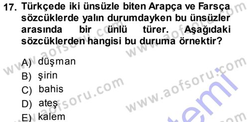 Türkçe Ses Bilgisi Dersi 2013 - 2014 Yılı (Final) Dönem Sonu Sınav Soruları 17. Soru
