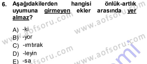 Türkçe Ses Bilgisi Dersi 2013 - 2014 Yılı (Final) Dönem Sonu Sınav Soruları 6. Soru