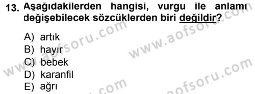 Türkçe Ses Bilgisi Dersi 2014 - 2015 Yılı (Vize) Ara Sınav Soruları 13. Soru