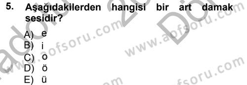 Türkçe Ses Bilgisi Dersi 2014 - 2015 Yılı (Final) Dönem Sonu Sınav Soruları 5. Soru