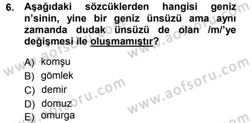 Türkçe Ses Bilgisi Dersi 2014 - 2015 Yılı (Final) Dönem Sonu Sınav Soruları 6. Soru