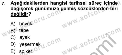 Türkçe Ses Bilgisi Dersi 2014 - 2015 Yılı (Final) Dönem Sonu Sınav Soruları 7. Soru