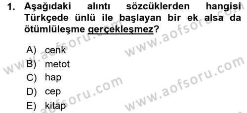 Türkçe Ses Bilgisi Dersi 2015 - 2016 Yılı (Vize) Ara Sınav Soruları 1. Soru