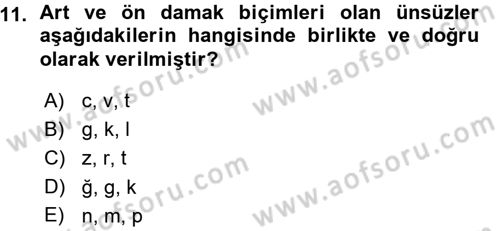 Türkçe Ses Bilgisi Dersi Ara Sınavı Deneme Sınav Soruları 11. Soru