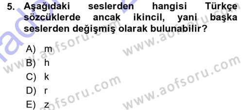 Türkçe Ses Bilgisi Dersi Ara Sınavı Deneme Sınav Soruları 5. Soru