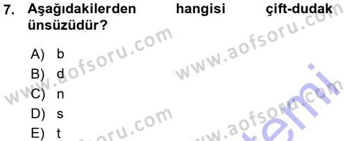 Türkçe Ses Bilgisi Dersi Ara Sınavı Deneme Sınav Soruları 7. Soru