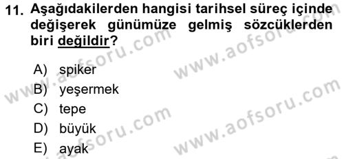 Türkçe Ses Bilgisi Dersi 2015 - 2016 Yılı (Final) Dönem Sonu Sınav Soruları 11. Soru