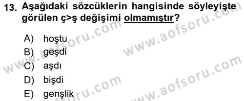 Türkçe Ses Bilgisi Dersi 2015 - 2016 Yılı (Final) Dönem Sonu Sınav Soruları 13. Soru