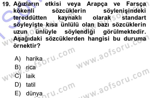 Türkçe Ses Bilgisi Dersi 2015 - 2016 Yılı (Final) Dönem Sonu Sınav Soruları 19. Soru