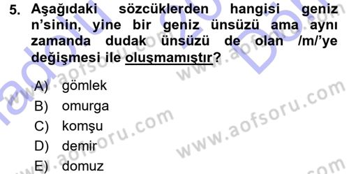 Türkçe Ses Bilgisi Dersi 2015 - 2016 Yılı (Final) Dönem Sonu Sınav Soruları 5. Soru