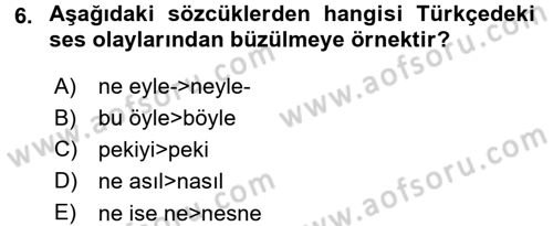 Türkçe Ses Bilgisi Dersi 2015 - 2016 Yılı (Final) Dönem Sonu Sınav Soruları 6. Soru
