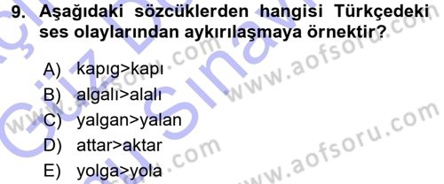Türkçe Ses Bilgisi Dersi 2015 - 2016 Yılı (Final) Dönem Sonu Sınav Soruları 9. Soru