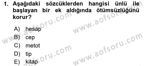 Türkçe Ses Bilgisi Dersi Ara Sınavı Deneme Sınav Soruları 1. Soru