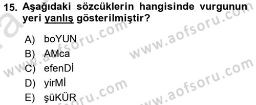 Türkçe Ses Bilgisi Dersi Ara Sınavı Deneme Sınav Soruları 15. Soru