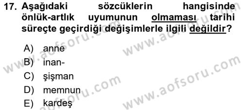 Türkçe Ses Bilgisi Dersi 2016 - 2017 Yılı (Vize) Ara Sınav Soruları 17. Soru