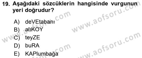 Türkçe Ses Bilgisi Dersi Ara Sınavı Deneme Sınav Soruları 19. Soru
