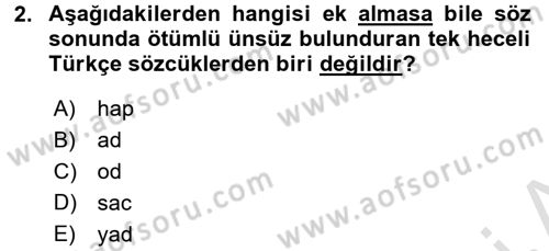 Türkçe Ses Bilgisi Dersi Ara Sınavı Deneme Sınav Soruları 2. Soru