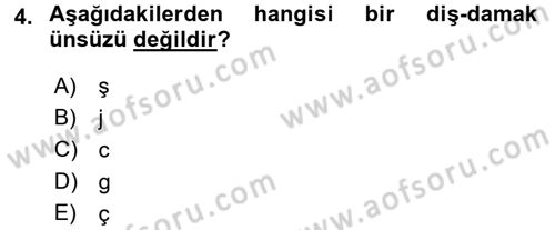 Türkçe Ses Bilgisi Dersi Ara Sınavı Deneme Sınav Soruları 4. Soru