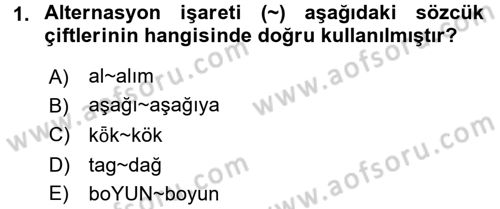 Türkçe Ses Bilgisi Dersi 2016 - 2017 Yılı (Final) Dönem Sonu Sınav Soruları 1. Soru