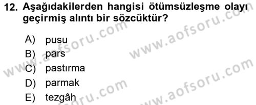 Türkçe Ses Bilgisi Dersi 2016 - 2017 Yılı (Final) Dönem Sonu Sınav Soruları 12. Soru