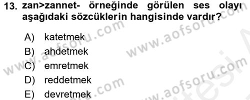 Türkçe Ses Bilgisi Dersi 2016 - 2017 Yılı (Final) Dönem Sonu Sınav Soruları 13. Soru